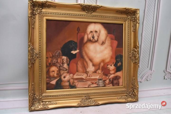 Śmieszne Psy Pies Pies Nauczyciel Złota Rama Obrazki i obrazy małopolskie Kraków sprzedam