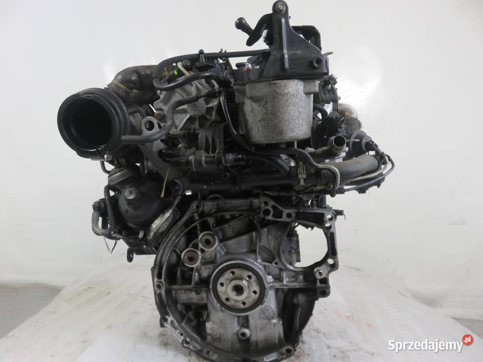 SILNIK FORD FOCUS MK3 III 16 TDCi T1DB 115 sprzedam