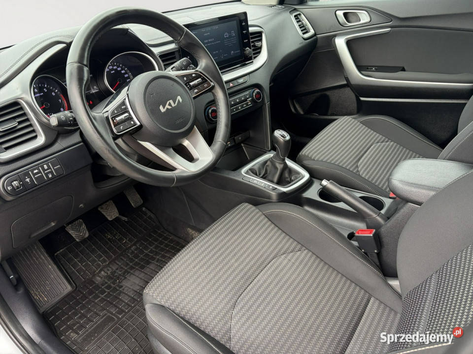 Kia Ceed PY2383515 TGDI M 2 stref klima Kcof pomorskie Pępowo