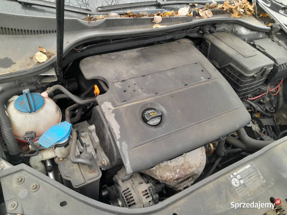 VW GOLF V 14 16V 04r z de 3drzwi BCA LA7T radio Wronki