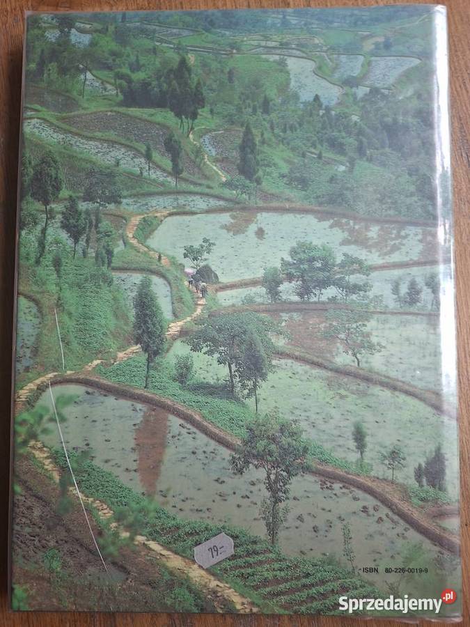 Cina Anna Doleżalowa j słowacki małopolskie Kraków