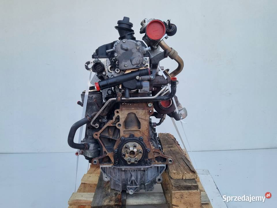 SILNIK KOMPLET VW Transporter T5 19 TDI 85 lubelskie Rudka