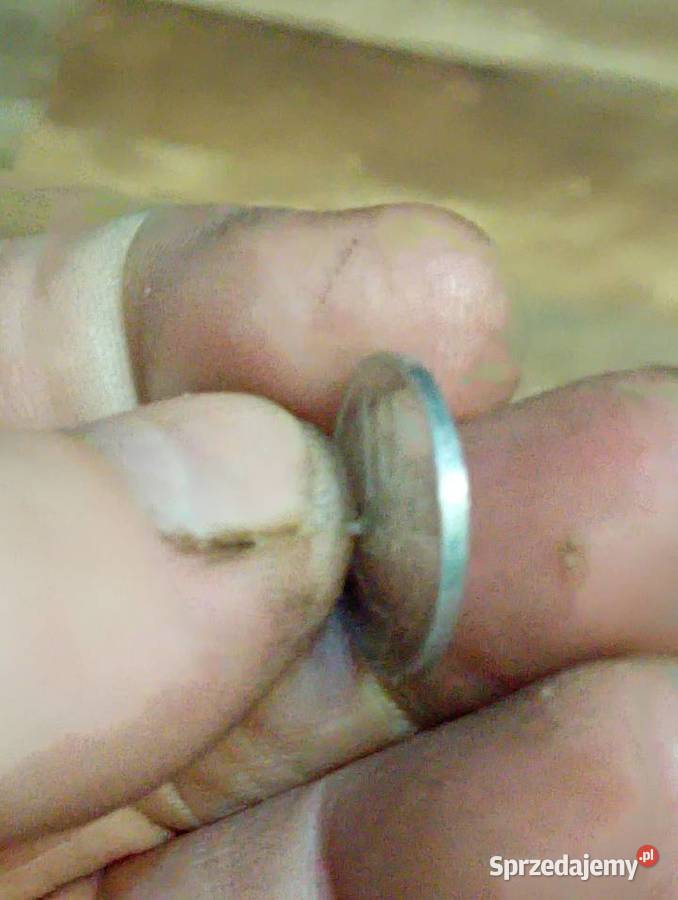 Sprzedam 10 groszy 1983 Numizmatyka Chełm