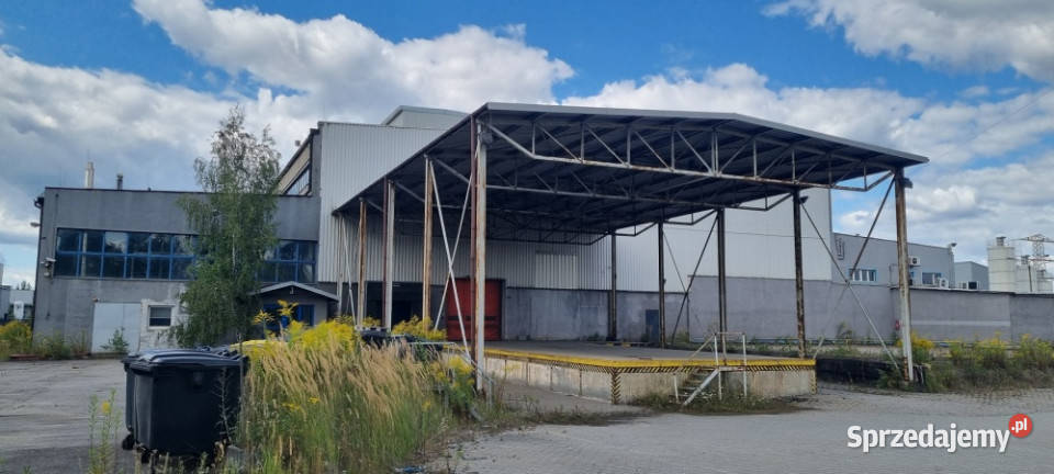 Syndyk sprzeda przedsiębiorstwo w Tychach sprzedam