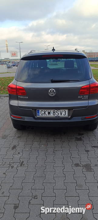 Volkswagen Tiguan wersja cup z 2015 roku 4 Prabuty