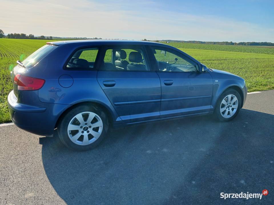 audi a3 8p sportdack Rok produkcji 2006 A3