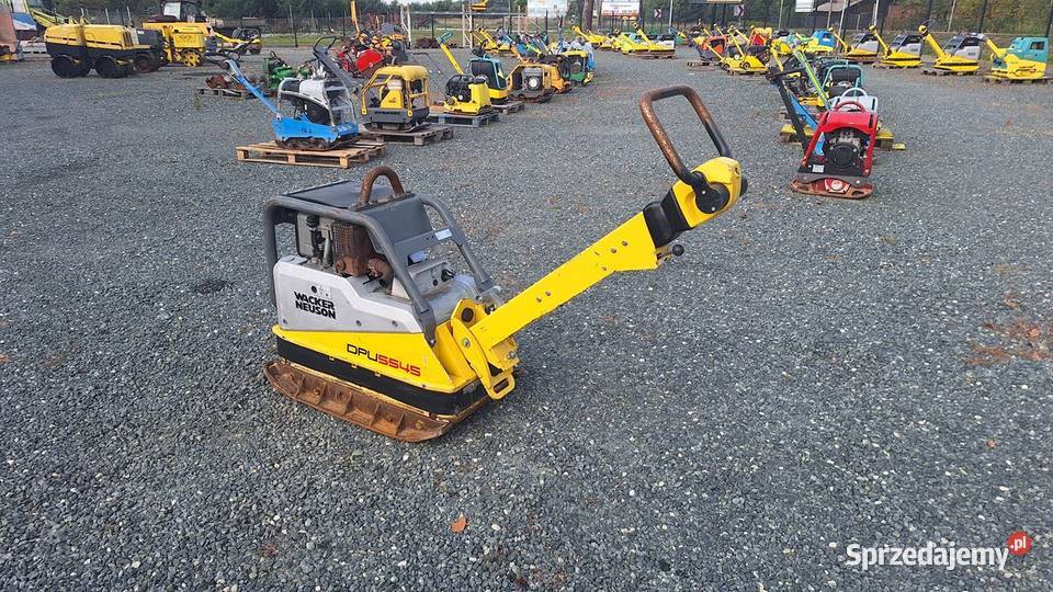 2019 Zagęszczarka Ubijak WACKER NEUSON DPU 5545 Trzebnica