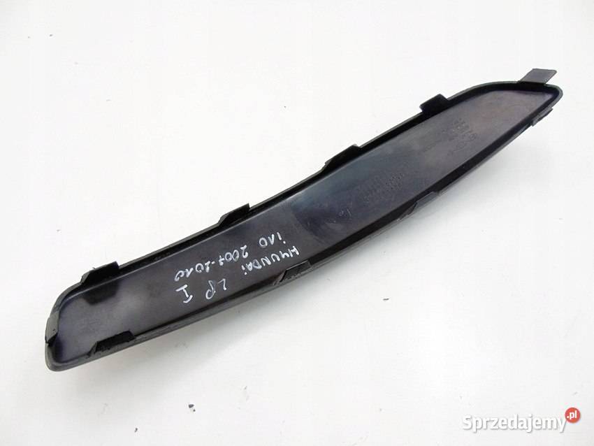 Listwa zderzaka przedniego lewa Hyundai i10 śląskie Sosnowiec