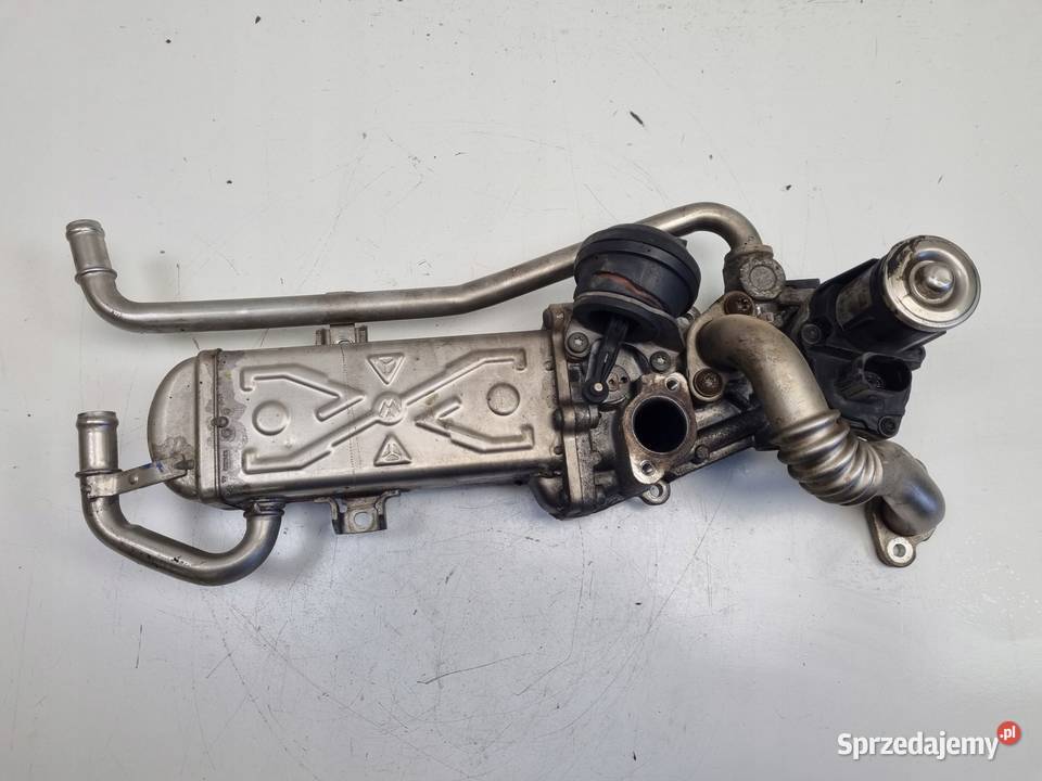 VW Golf VII 16 TDI CHŁODNICA SPALIN EGR osobowe Chełm