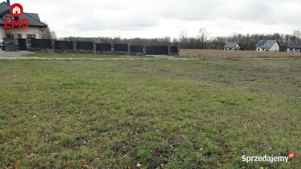 sprzedaży gruntu Tołcze 1000m2 sprzedam