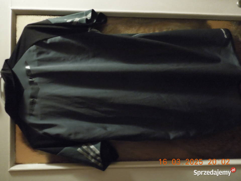 koszulka adidas śląskie Częstochowa