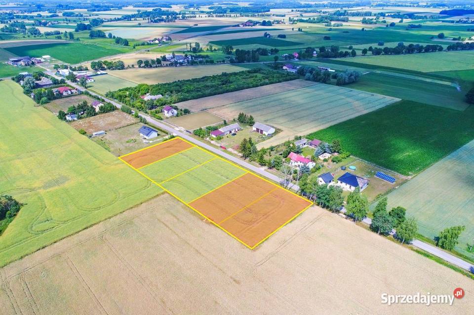 Działki budowlane w zielonej spokojnej okolicy asfalt Sprzedaż Kozłówka