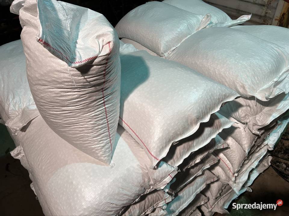 Fasola Jaś Karłowy 25