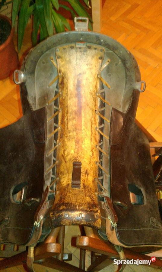 Kulbaka niemiecka Lublin