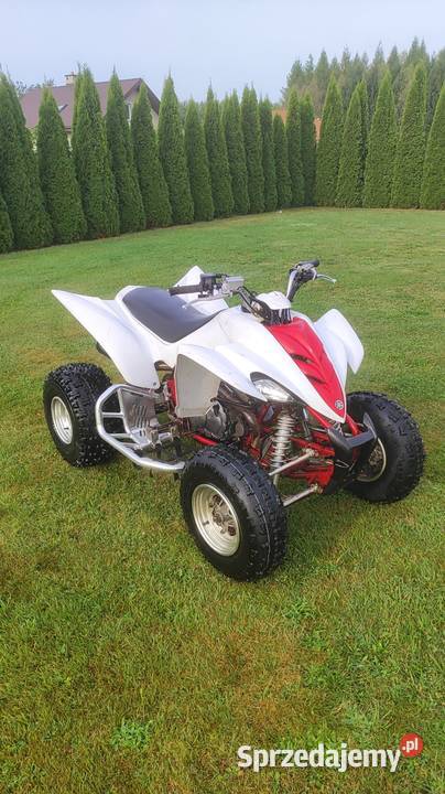 Yamaha Raptor 350 Iskrzynia