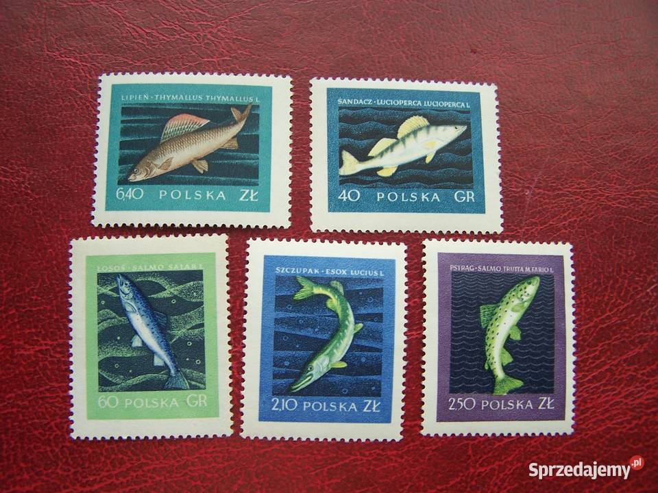 Polska 1958 MNh Mi 105155 Fauna Ryby śląskie Tychy sprzedam