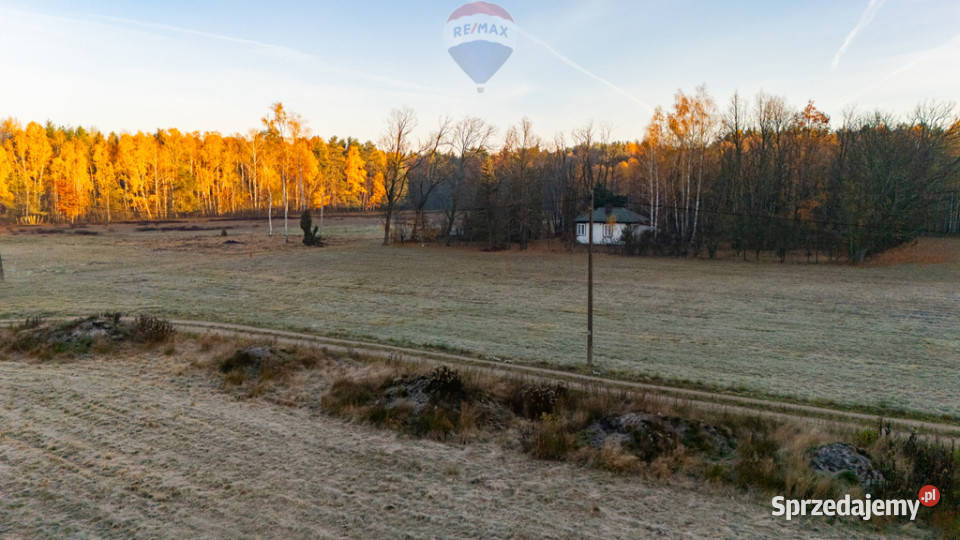 4 hektary wolności pod Warszawą Ostrowik