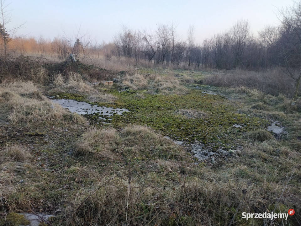 Nieruchomość na sprzedaż 23417m2 opolskie Kamiennik