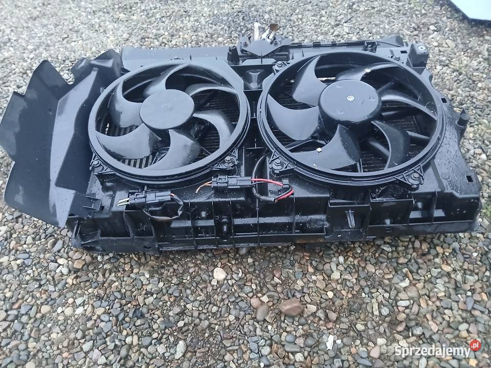 Pas Przedni Peugeot Expert Scudo Jumpy II 20 HDI osobowe Radłów