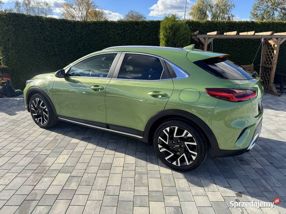Kia XCeed 15 TGDI Business Line ogranicznik prędkości kujawsko-pomorskie Sępólno Krajeńskie