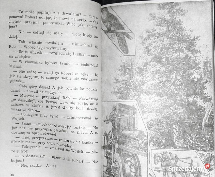 Wakacje w Borkach Jadwiga Korczakowska Chełm