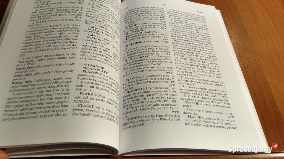 Słownik gwar polskich T 7 z 4 filologie, językoznawstwo Gdańsk