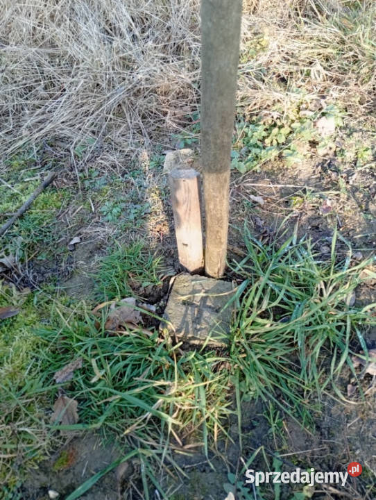 Sprzedam działkę budowlaną sprzedam