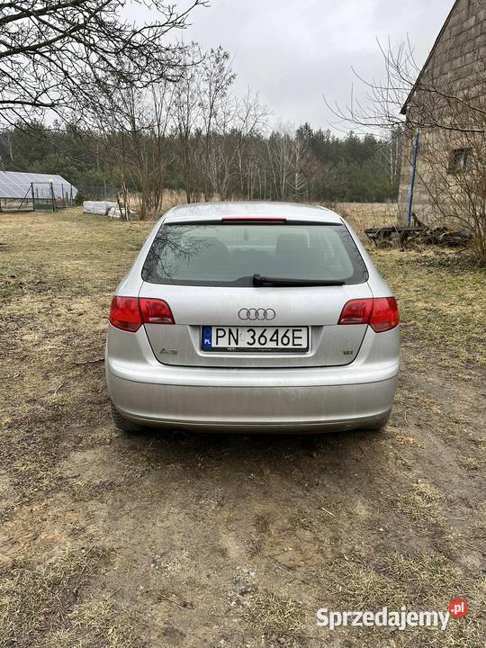 Audi a3 8p benzyna Konin
