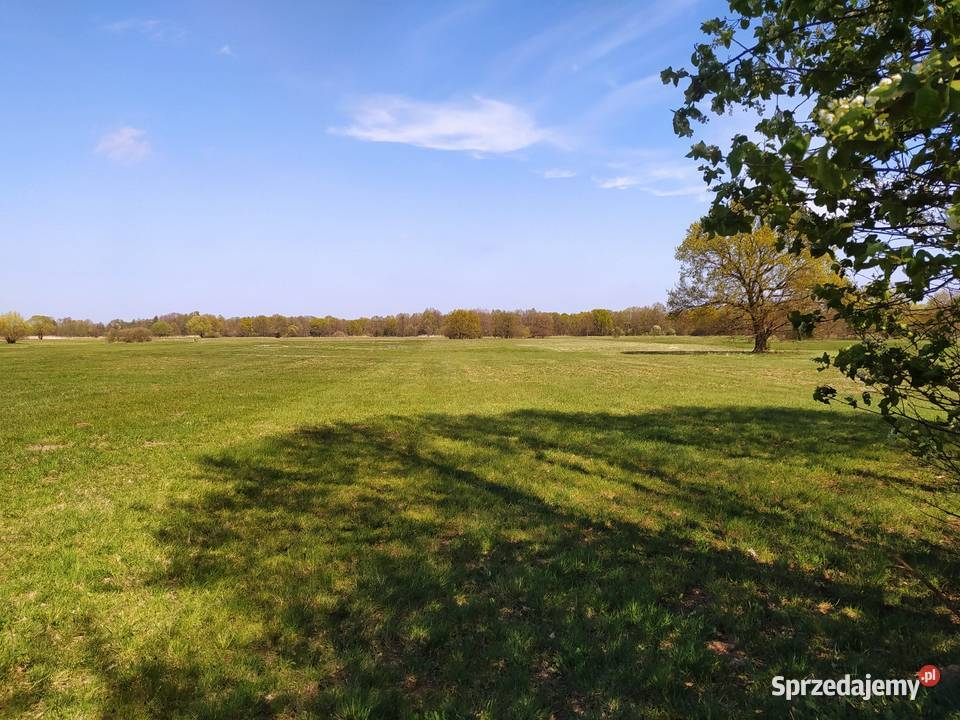 Działka rolna łąka Radolina gm Golina Konin