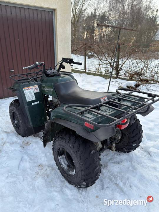 Quad bear tracker 250 lubelskie