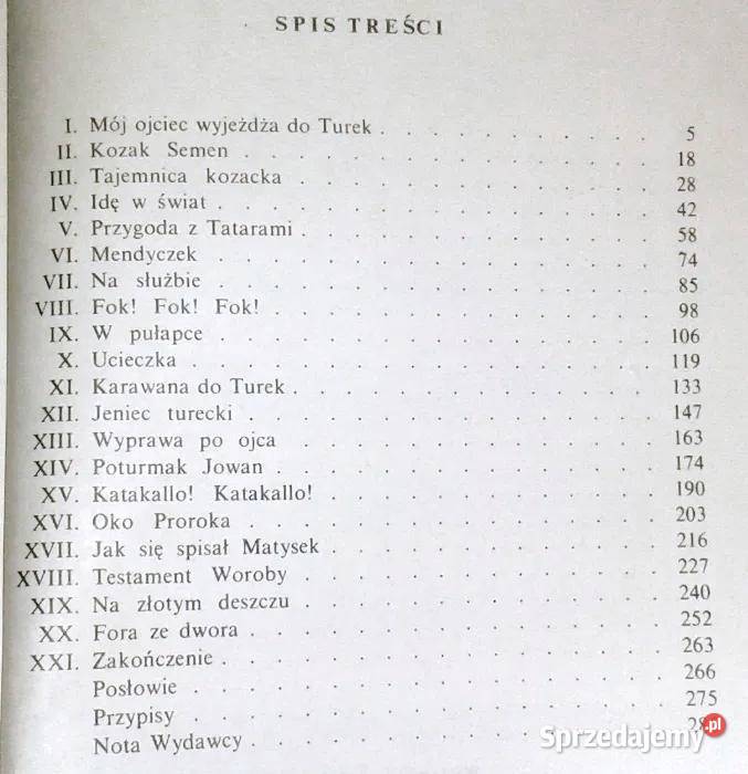 Oko Proroka czyli Hanusz Bystry i jego przygody Chełm