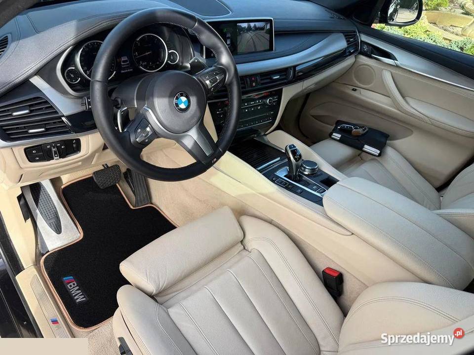 BMW X6 xDrive40d 30 Diesel 313 2018r Możliwa wielkopolskie Krotoszyn
