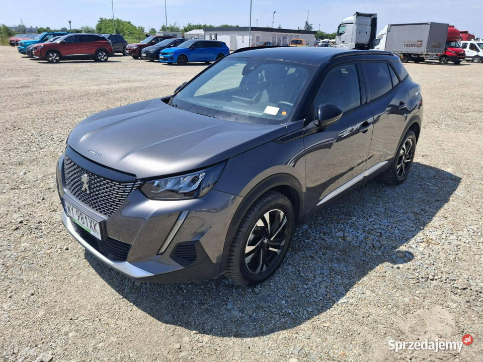 Peugeot 2008 II 2019