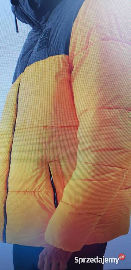 Kurtka zimowa 4F puchowa z wypełnieniem Zimowa  Rydułtowy sprzedam