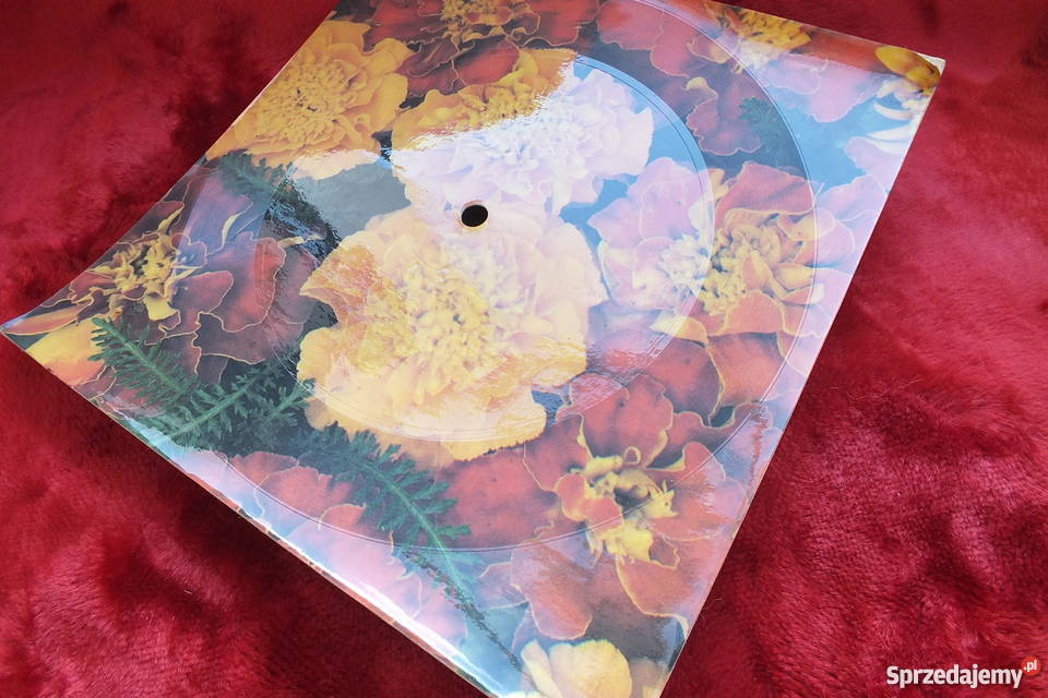 Stara pocztówka dźwiękowa A Rosiewicz Żary sprzedam