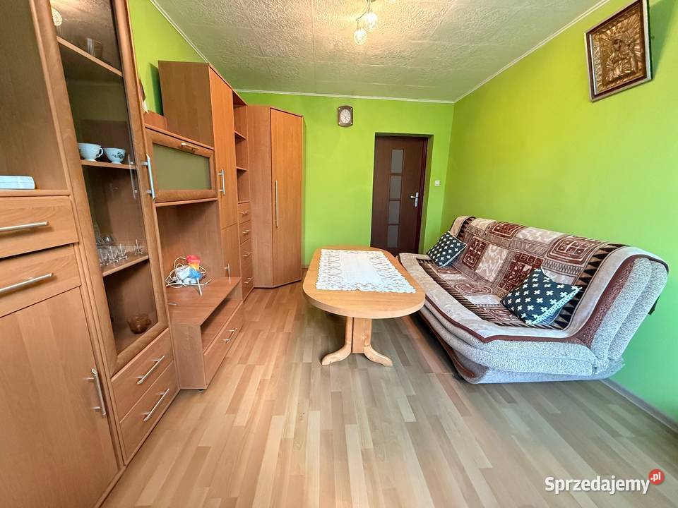 Dom z dużą działką i lasem w Nowinach Brdowskich Nowiny Brdowskie