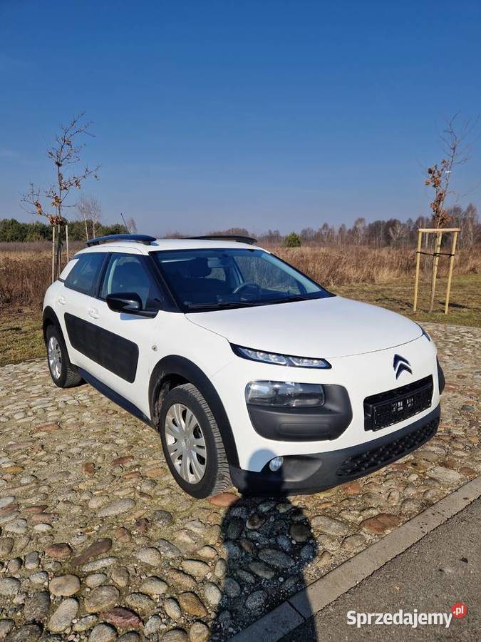 CITROEN C4 Cactus lubelskie Biała Podlaska