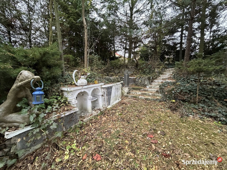 Twój Azyl Dom z ogrodem i warsztatem lesie Tomaszów Lubelski sprzedam