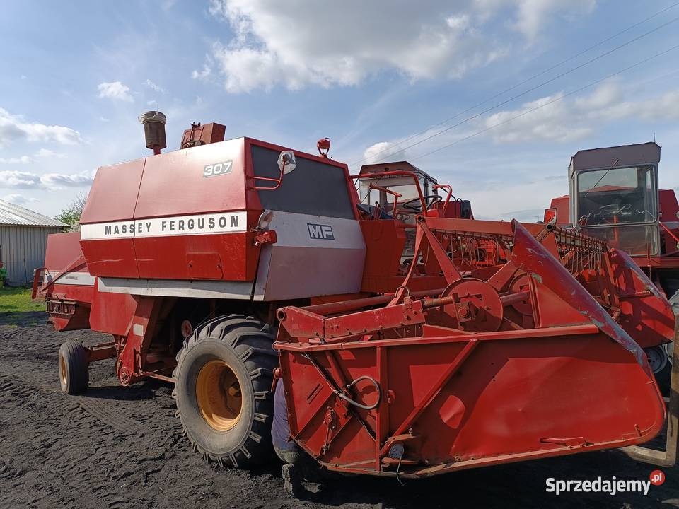 Massey Ferguson 307 inne 206240440487 Dragany
