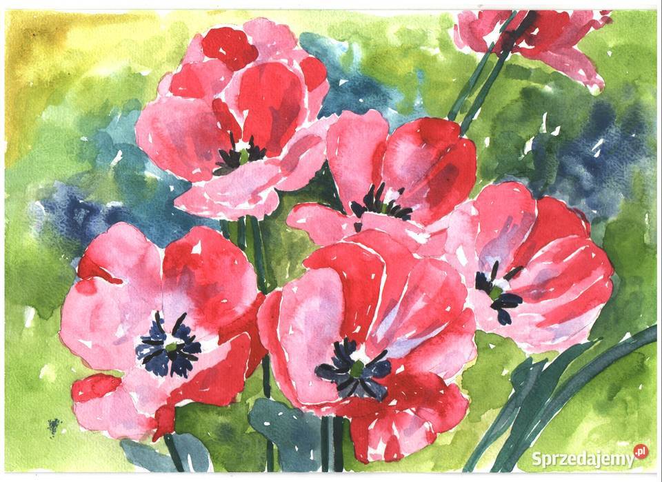 OBRAZ akwarela KWIATY Gryfów Śląski