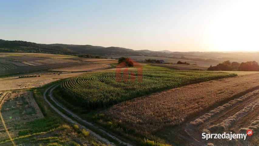 sprzedaży gruntu 3000m2 Brzeziny
