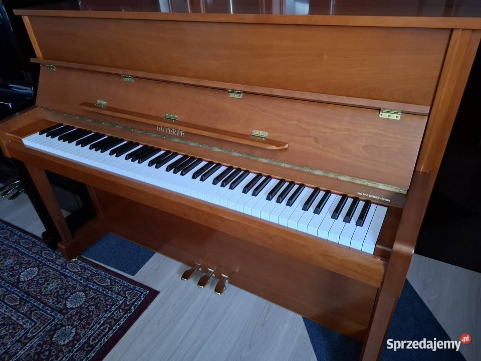 Pianino Eutepre CBECHSTEIN model EU112 stannowe małopolskie Brzesko