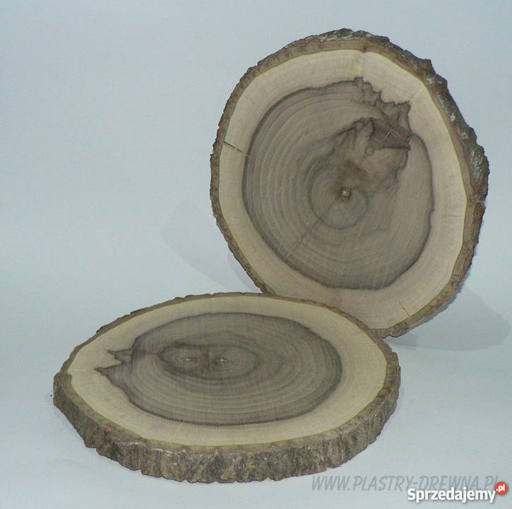 Plaster drewna orzech włoski śr 2028 HIT Warszawa