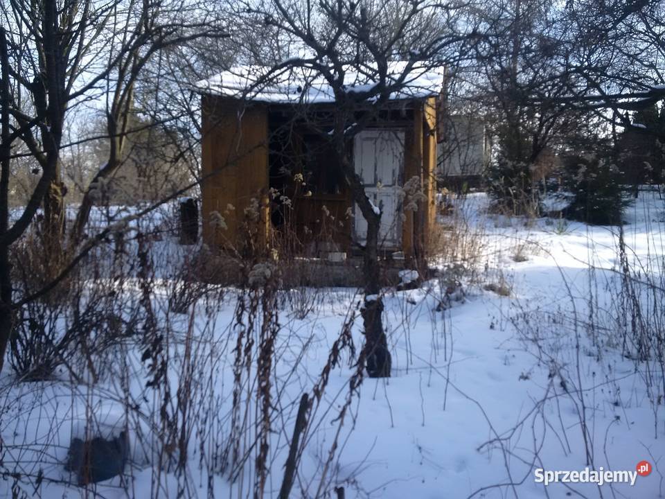 Działka ROD Bratek Dąbrowica 254m2 Ogródek rekreacyjna