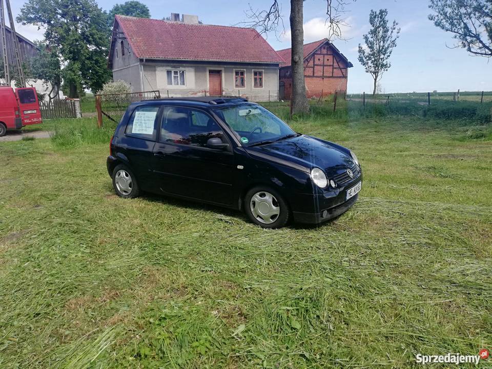 Lupo gotowe do rejestracji warmińsko-mazurskie