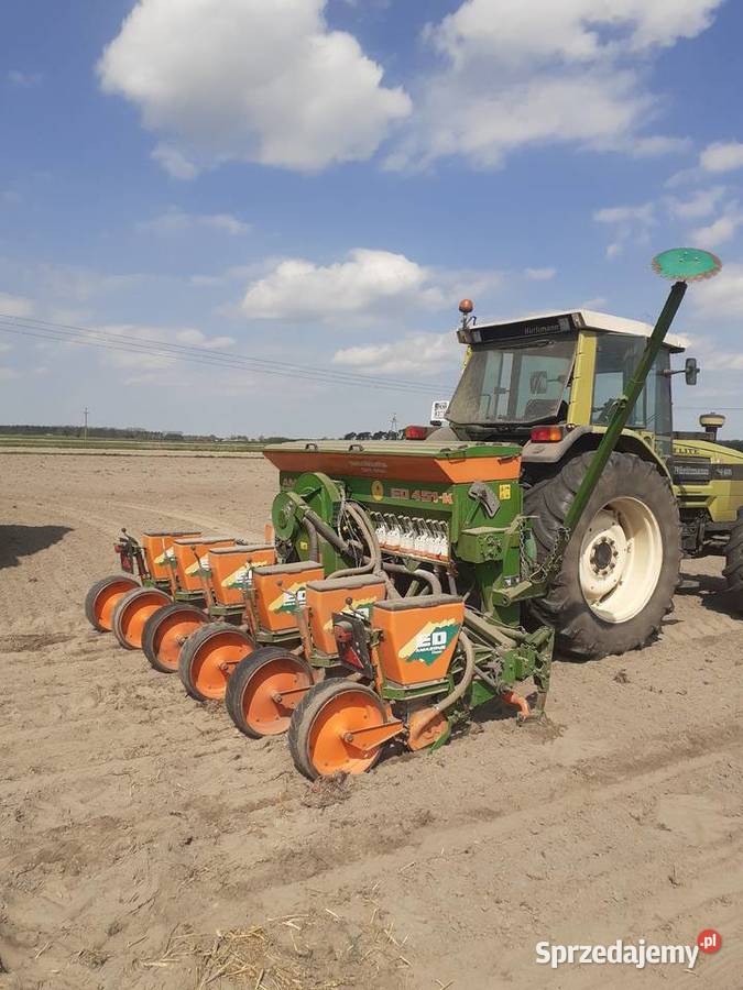 Siewnik do kukurydzy Amazone ED 451K 6 Becker Ślesin