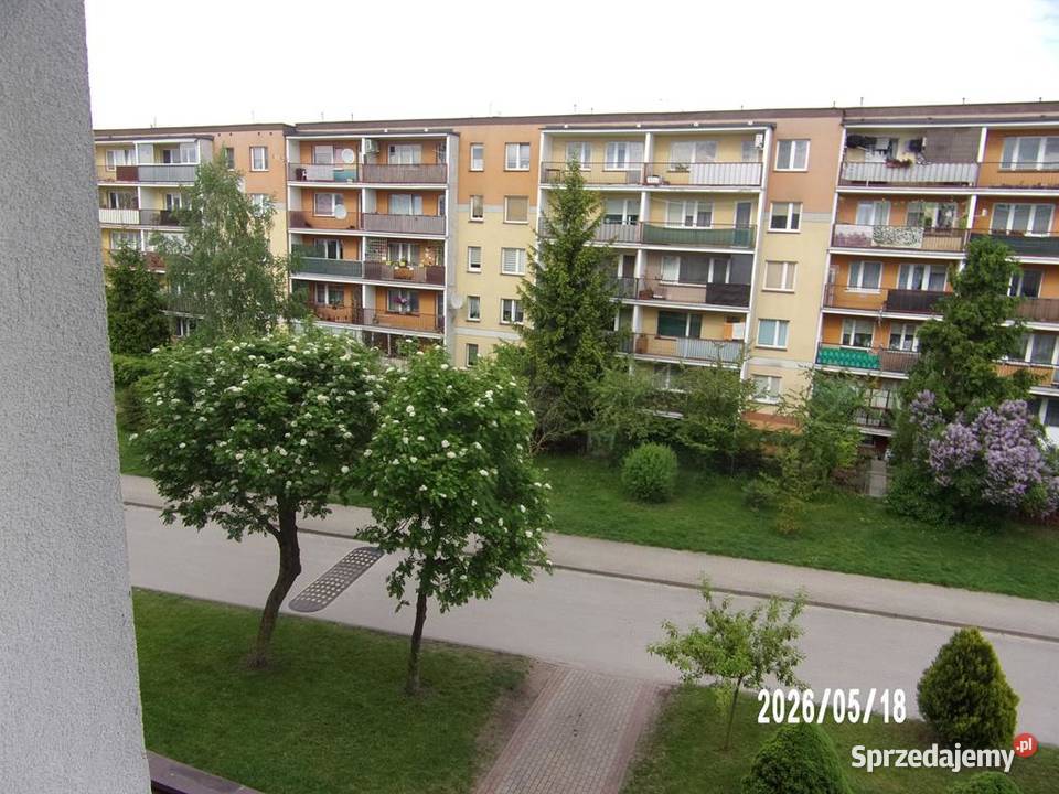 Ełk wynajmę mieszkanie sprzedam