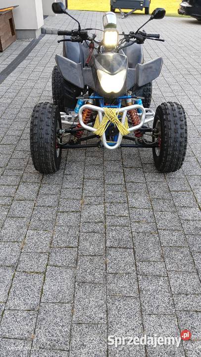 Eagle Lyda 250 Rok produkcji 2005 śląskie Wierzchowisko sprzedam