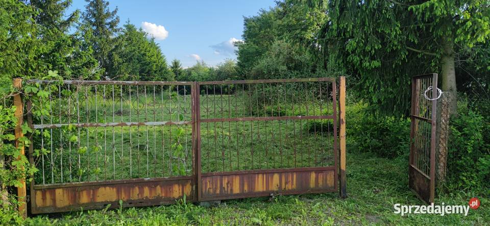 Na sprzedaż działka 119 ha w Sadach gmPotworów Sady-Kolonia