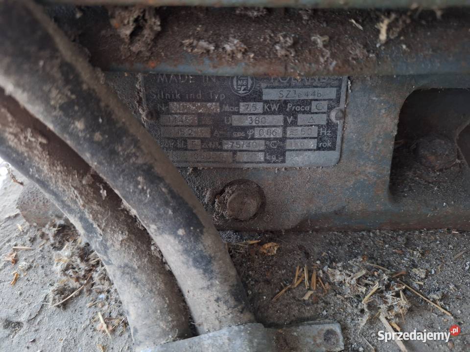 Silnik elektryczny 75 KW Bargłów Dworny